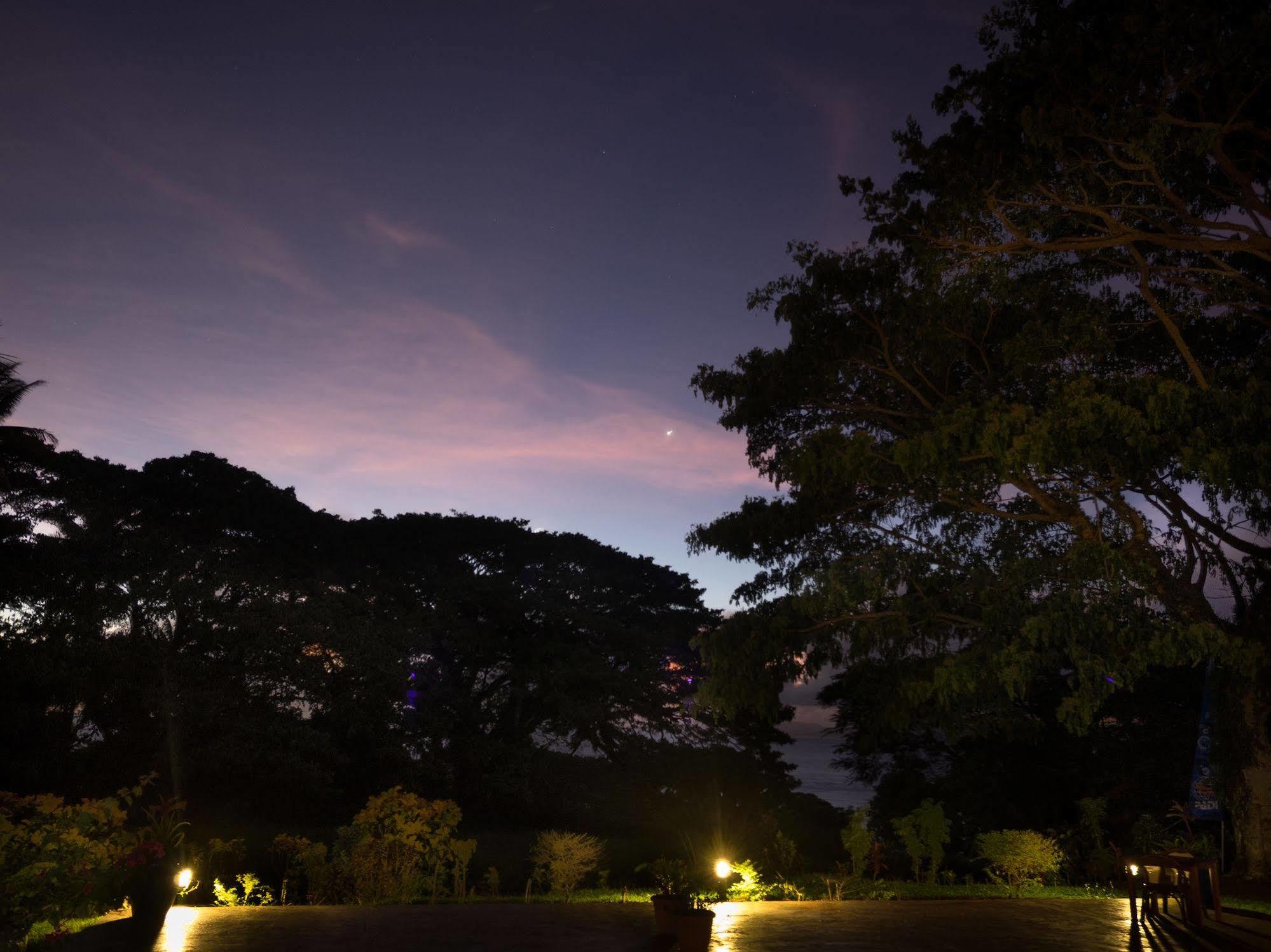 Taveuni Dive Resort Waiyevo Exteriör bild